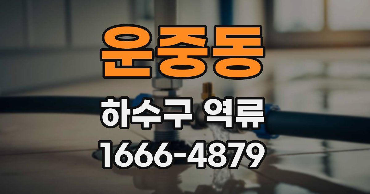 운중동 하수구 역류