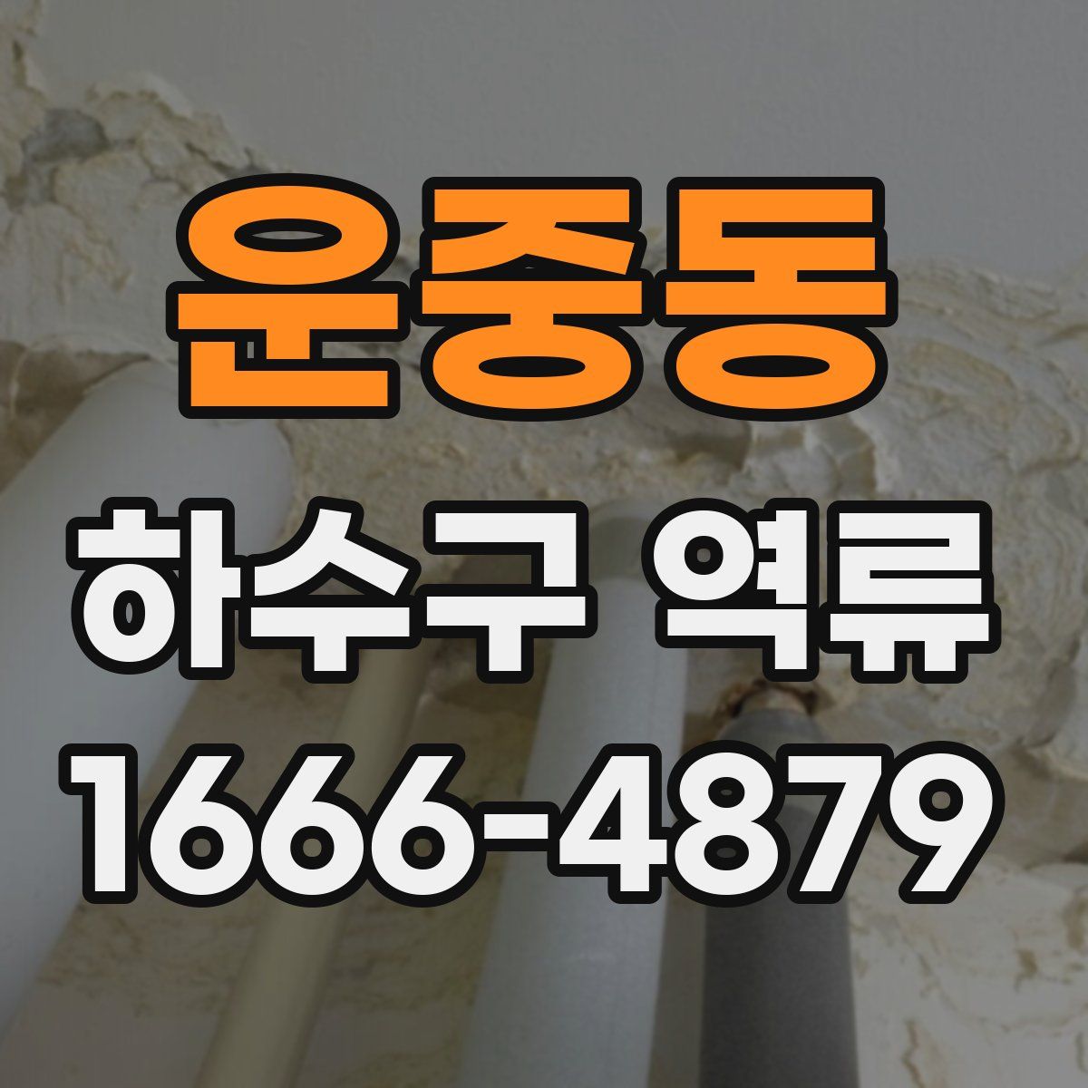 운중동 하수구 역류