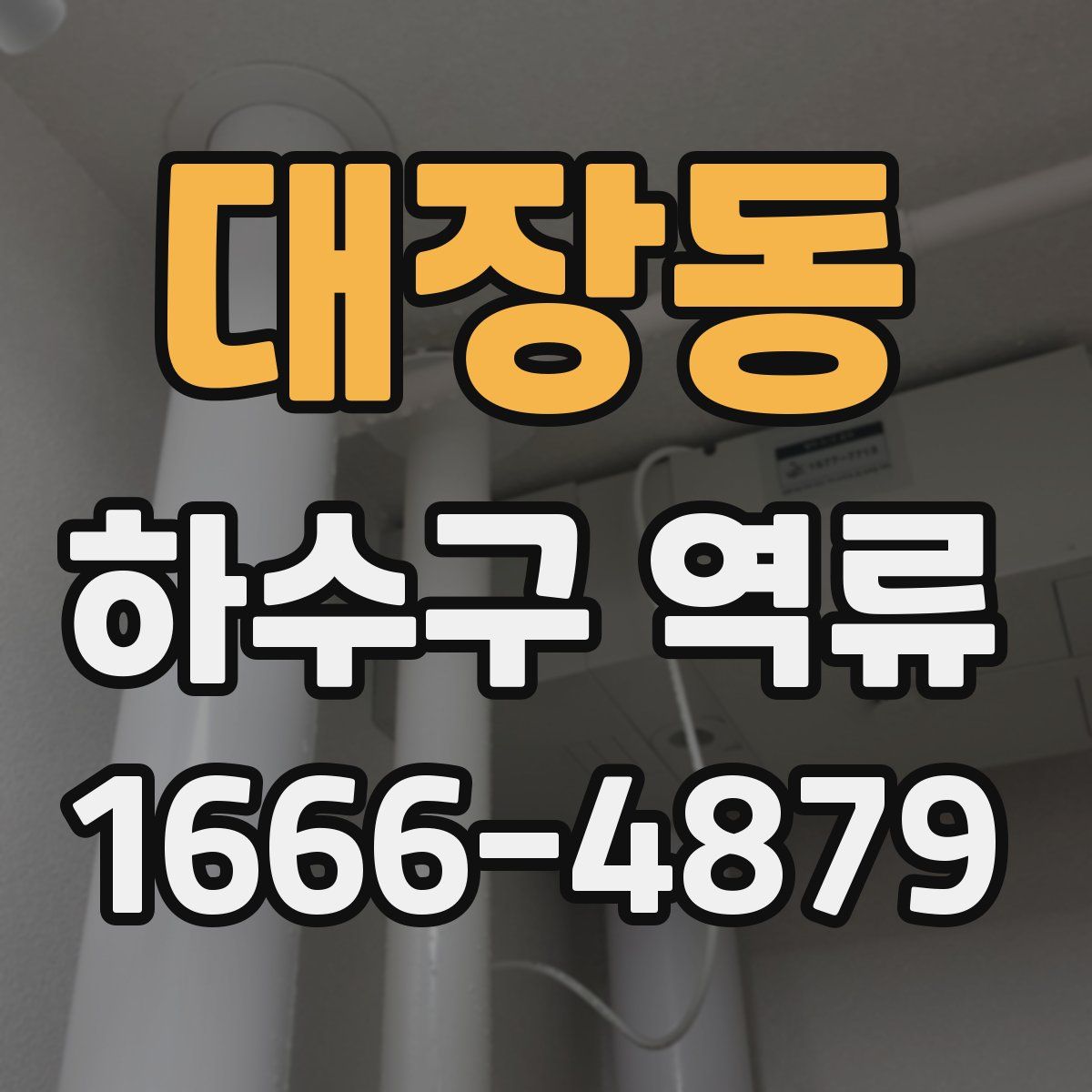 대장동 하수구 역류