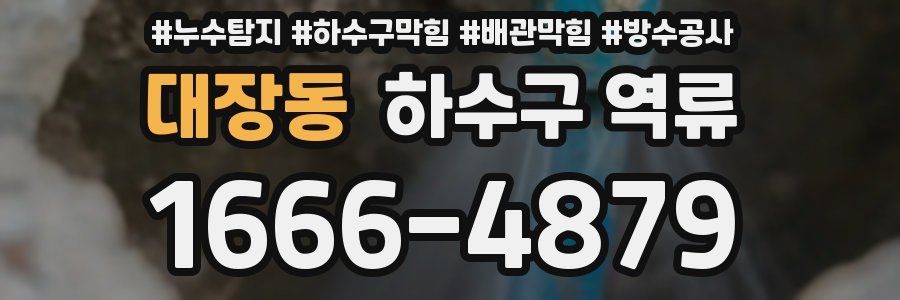 대장동 하수구 역류