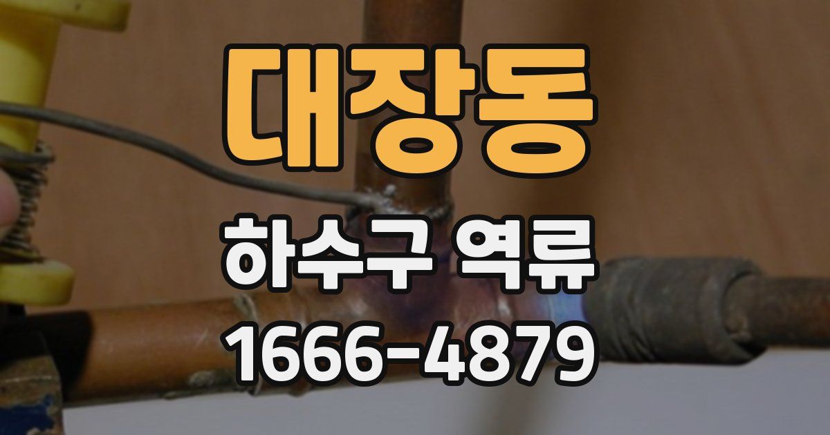 대장동 하수구 역류