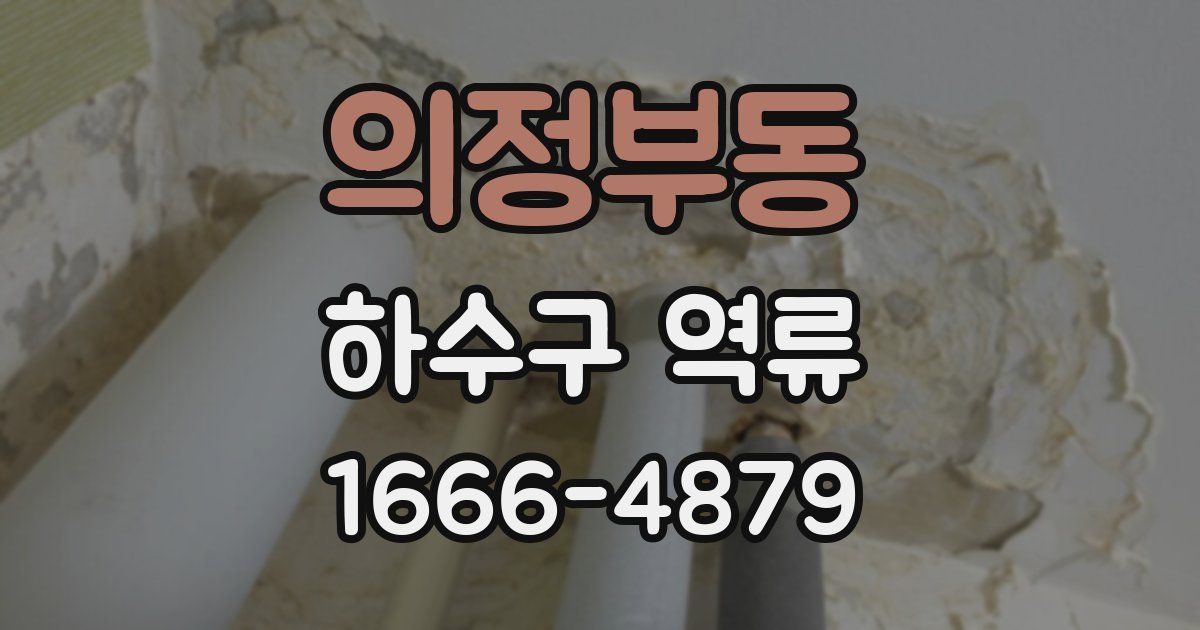 의정부동 하수구 역류
