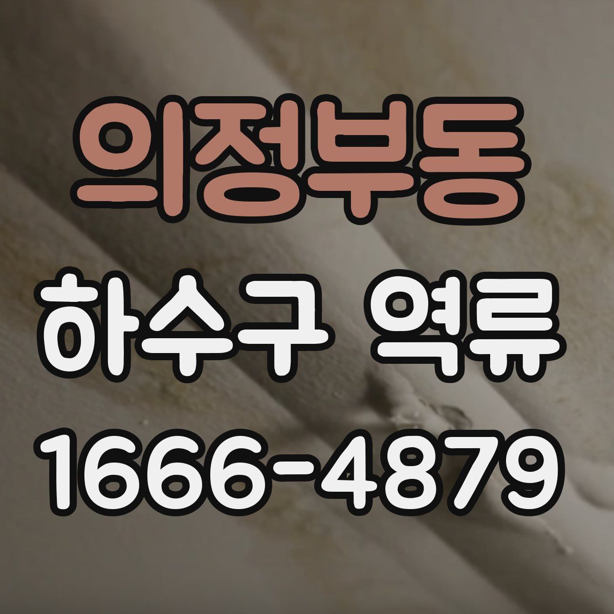 의정부동 하수구 역류