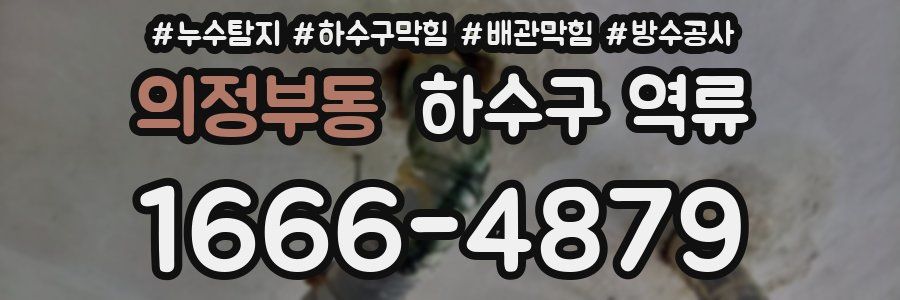 의정부동 하수구 역류