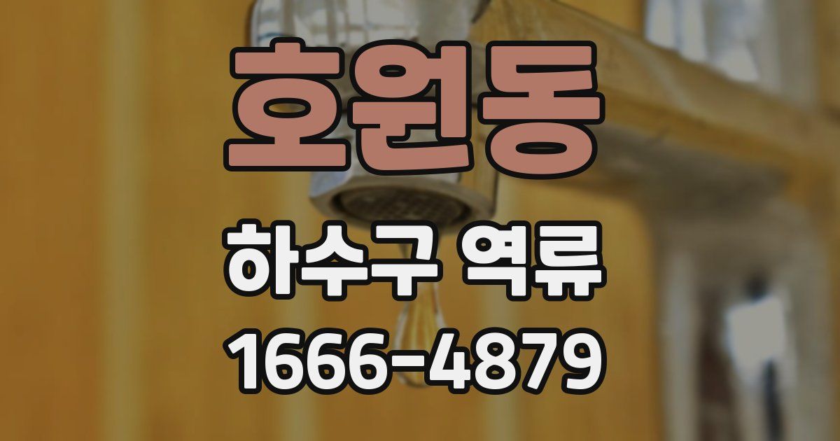 호원동 하수구 역류