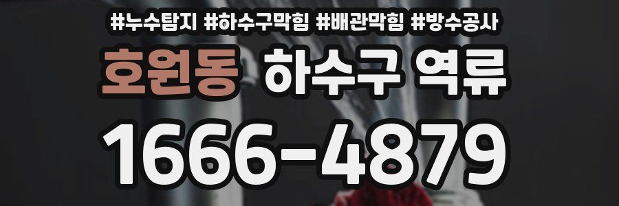 호원동 하수구 역류