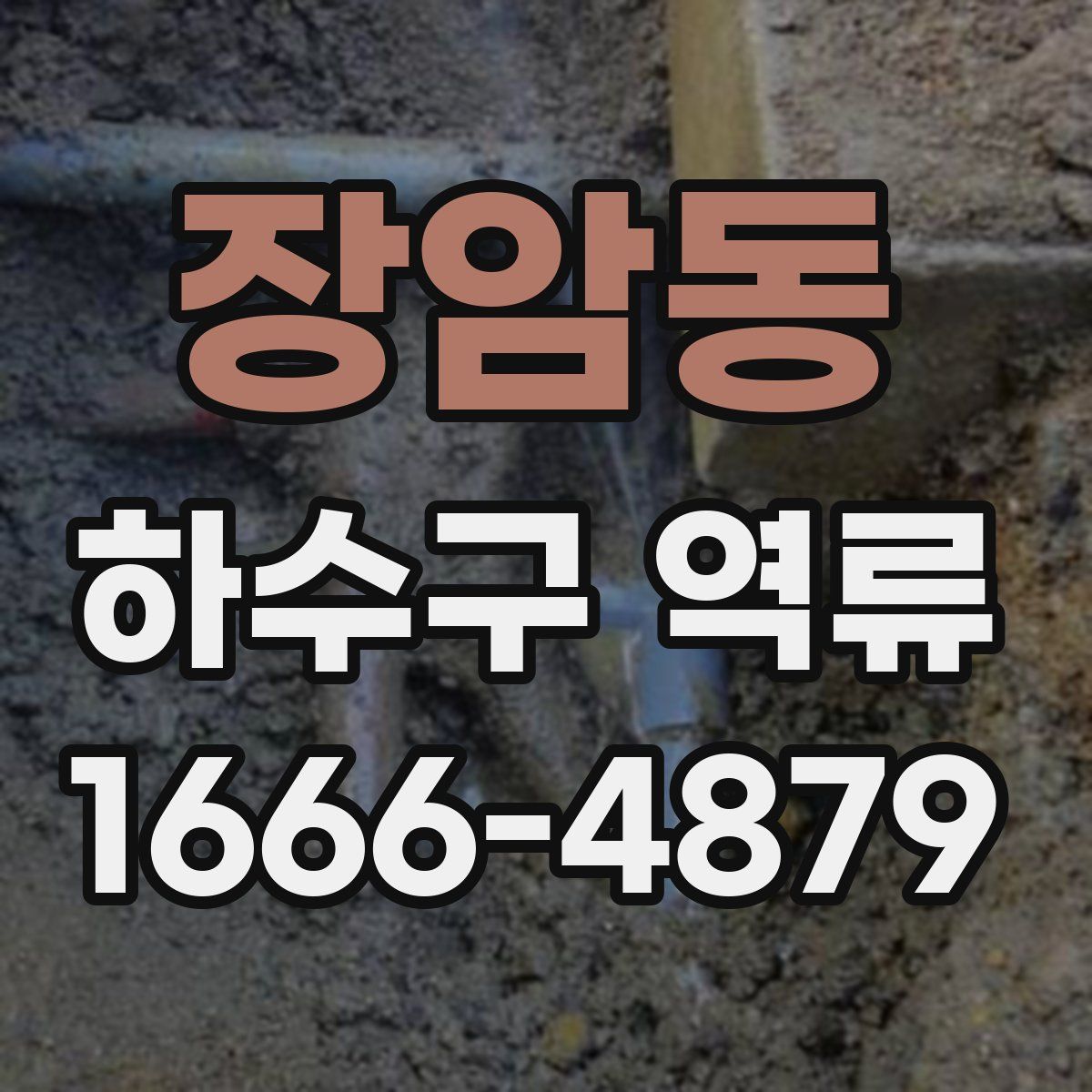 장암동 하수구 역류