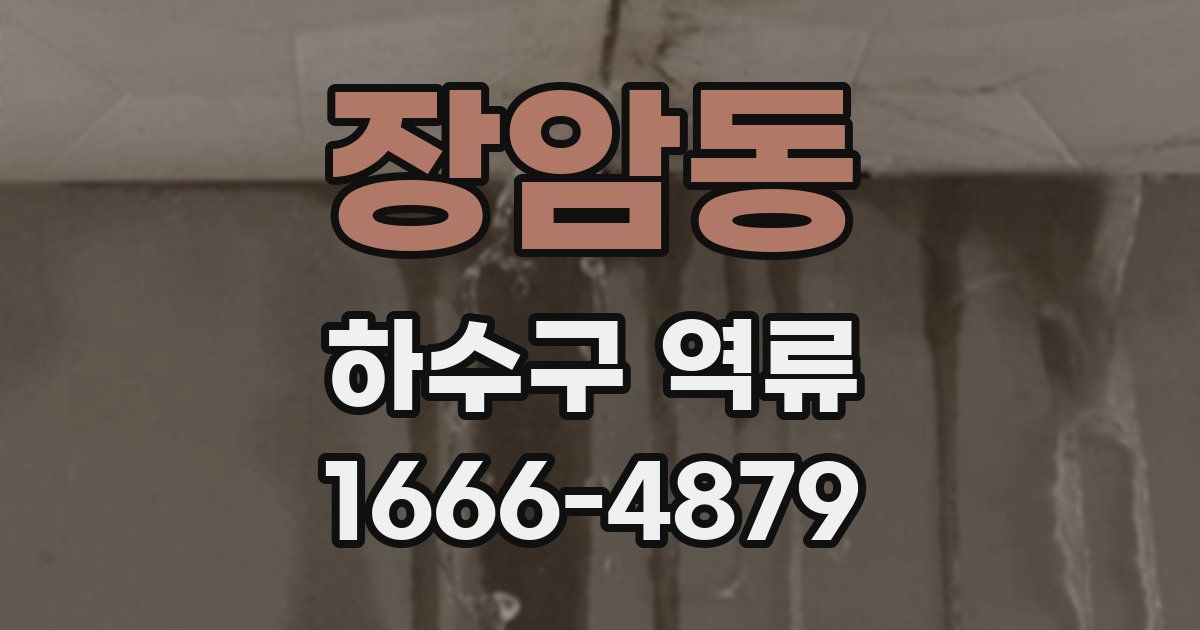 장암동 하수구 역류