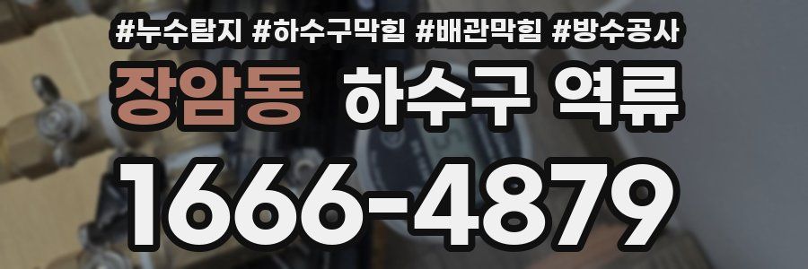 장암동 하수구 역류