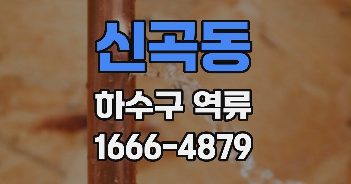 신곡동 하수구 역류