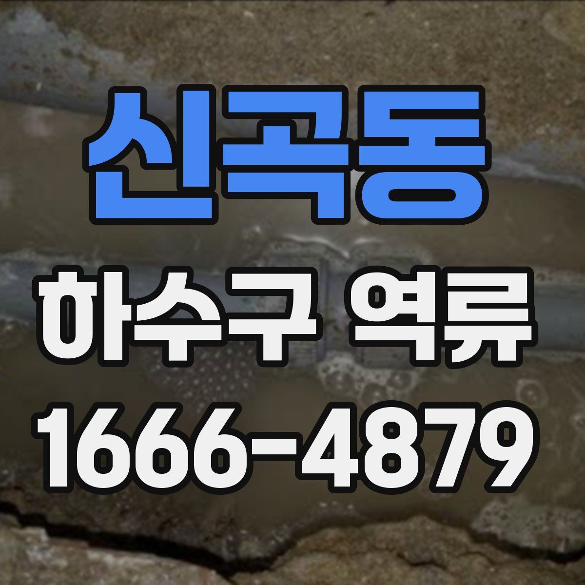신곡동 하수구 역류
