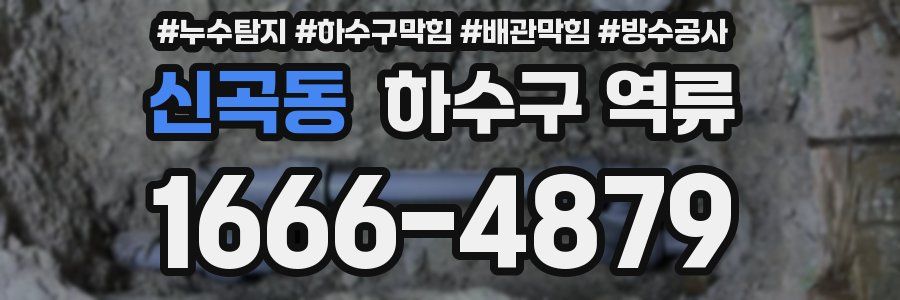 신곡동 하수구 역류
