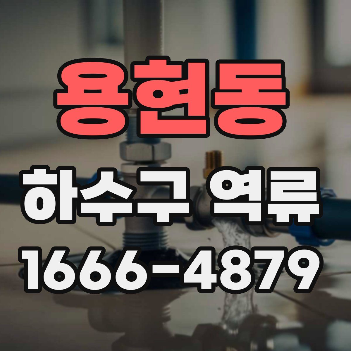 용현동 하수구 역류