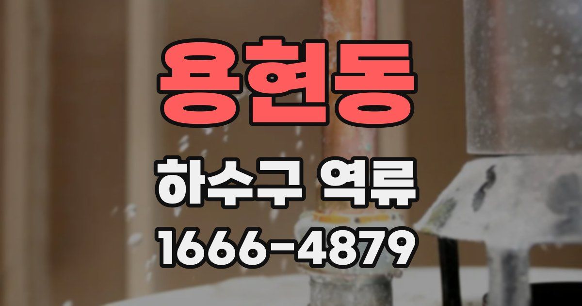용현동 하수구 역류