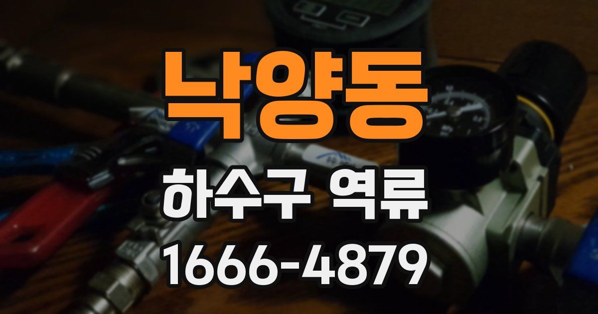 낙양동 하수구 역류