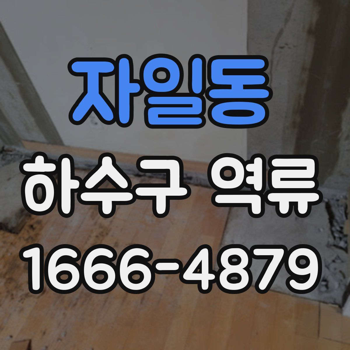 자일동 하수구 역류