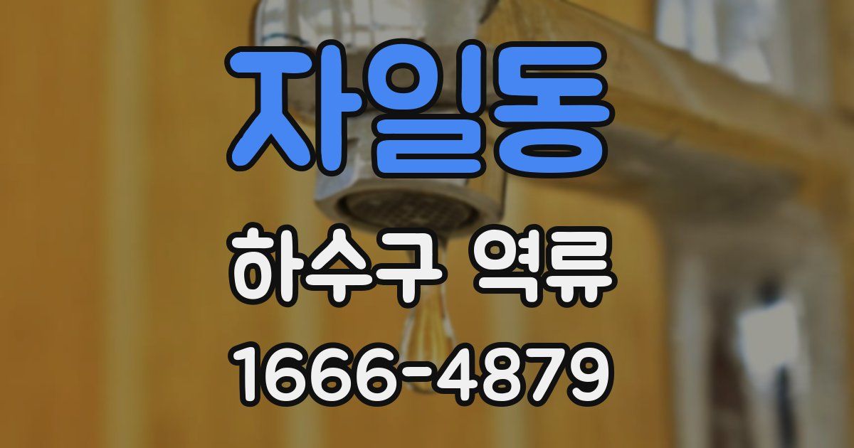 자일동 하수구 역류