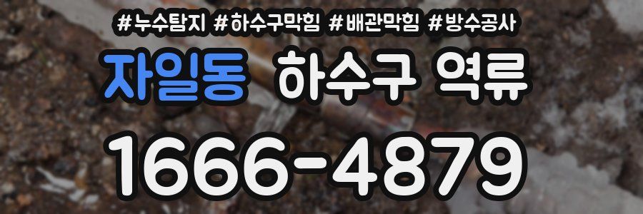 자일동 하수구 역류