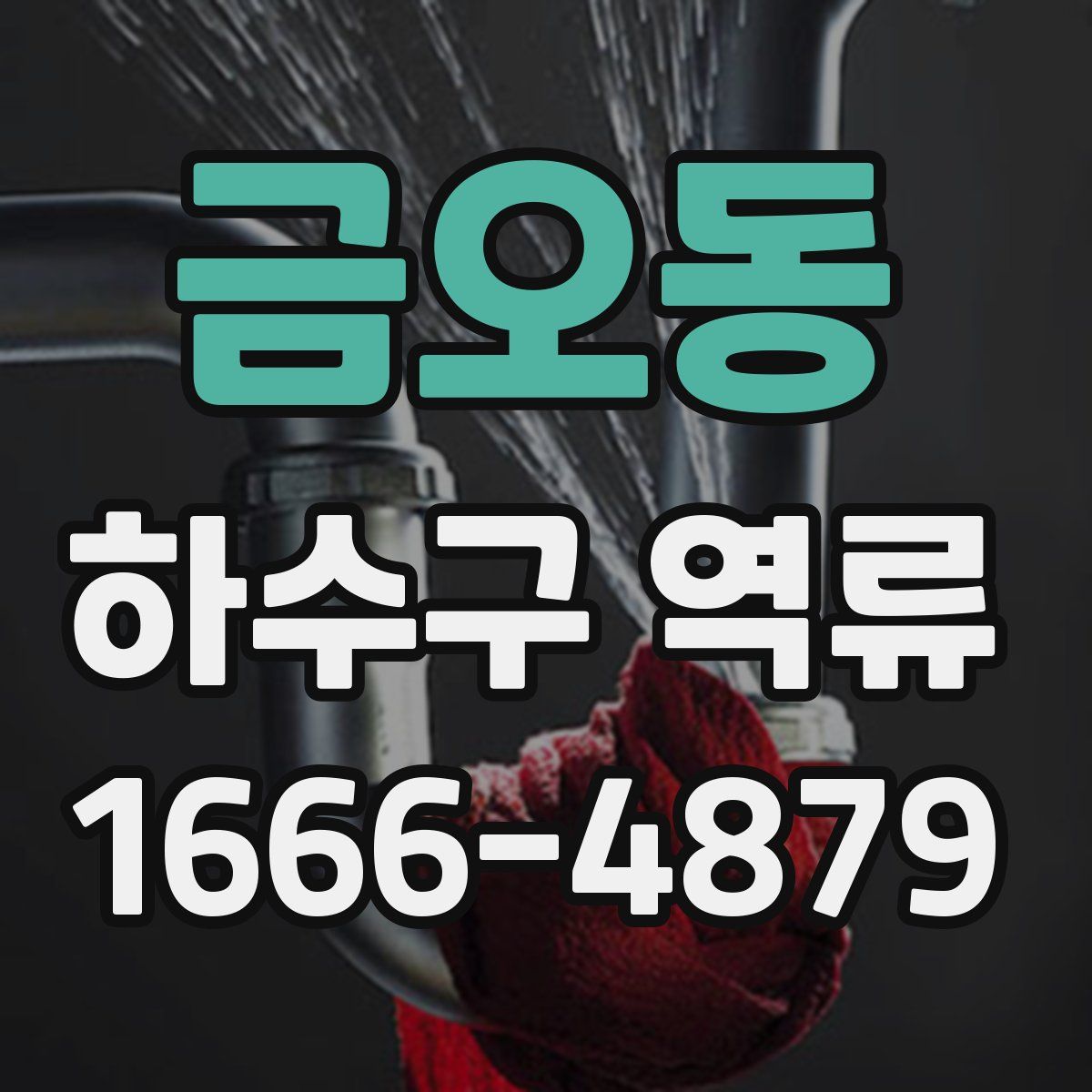 금오동 하수구 역류