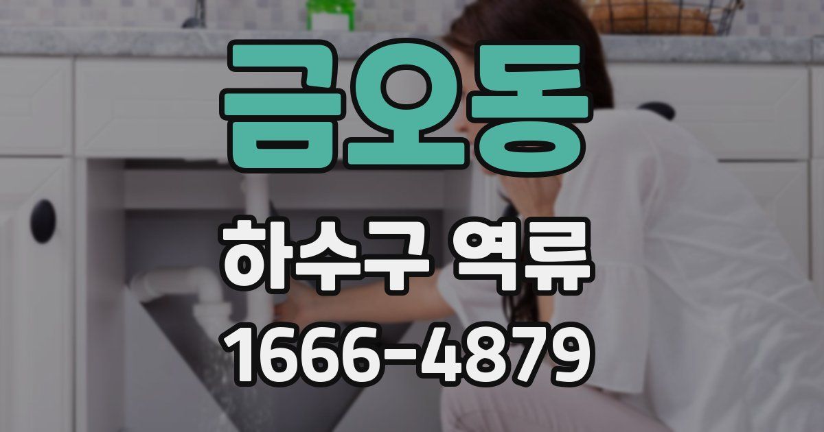 금오동 하수구 역류