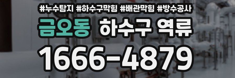금오동 하수구 역류