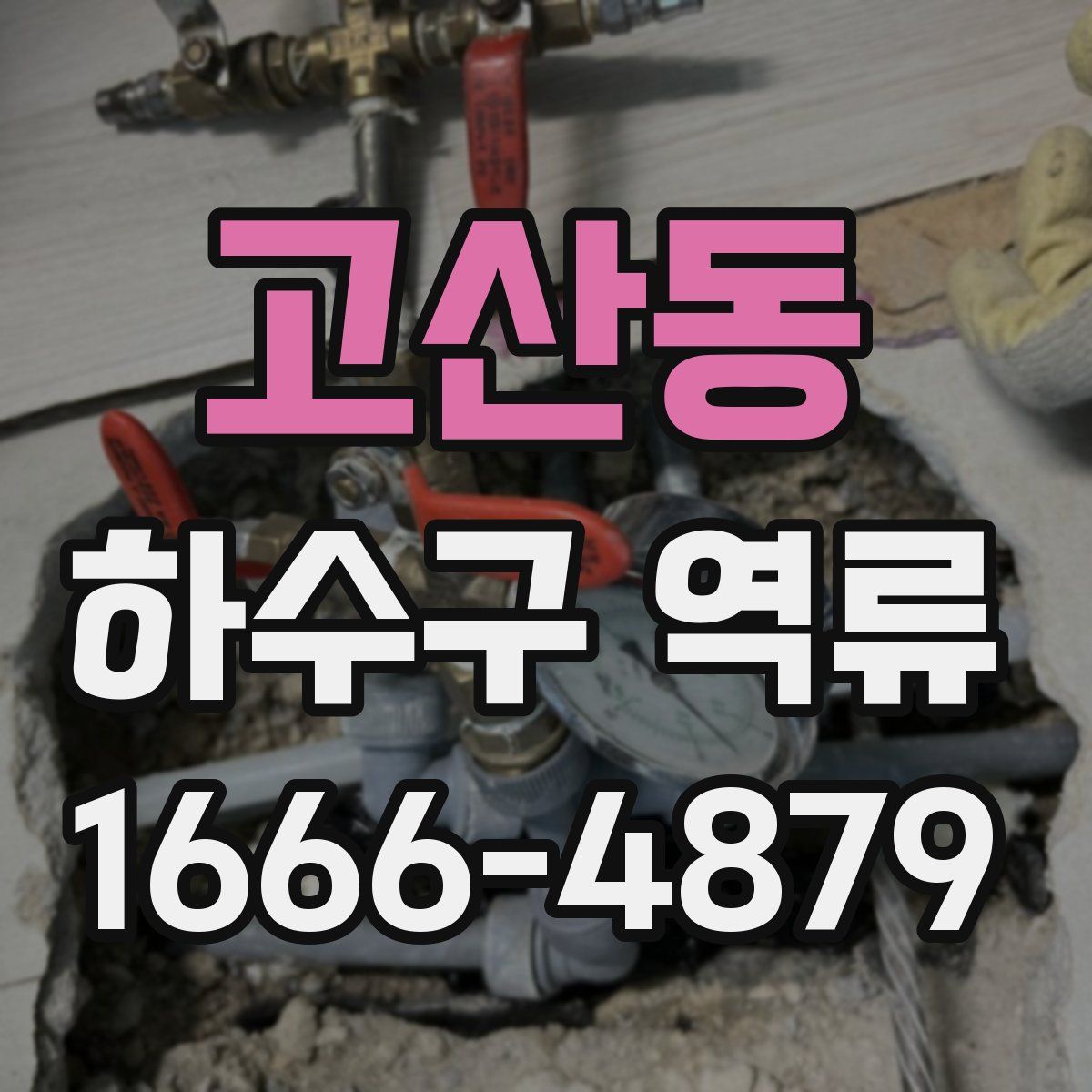 고산동 하수구 역류