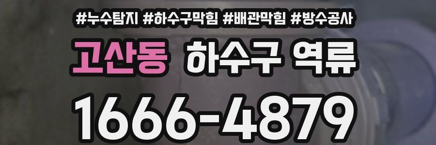 고산동 하수구 역류