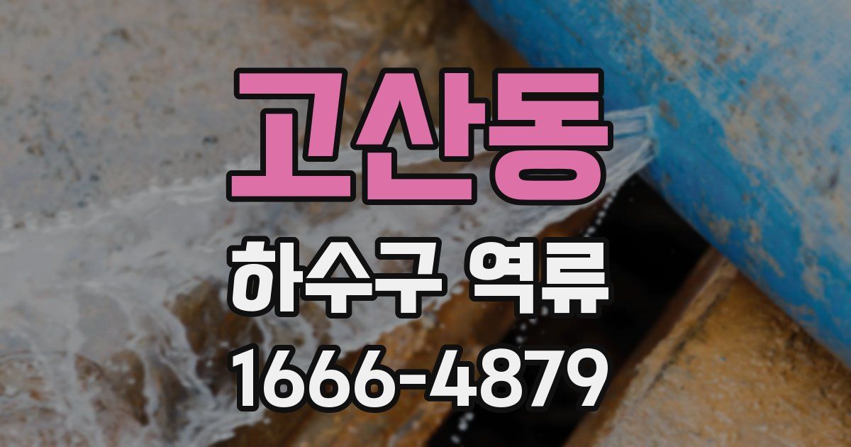 고산동 하수구 역류