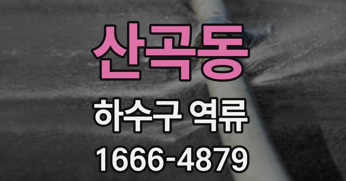 산곡동 하수구 역류