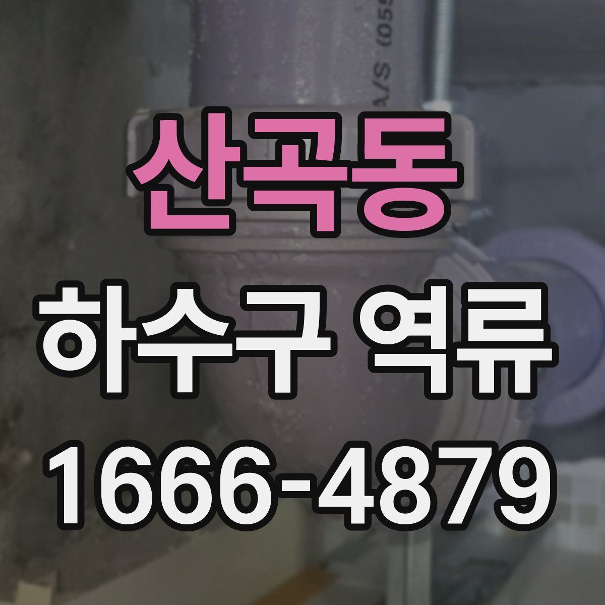 산곡동 하수구 역류