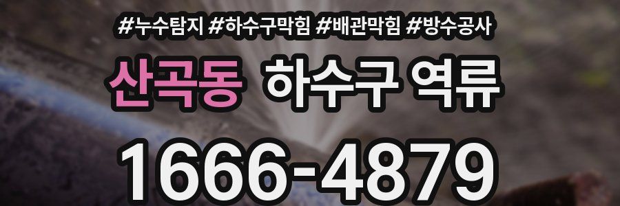산곡동 하수구 역류