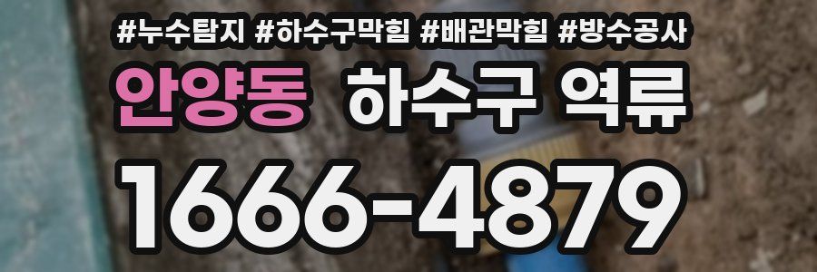 안양동 하수구 역류