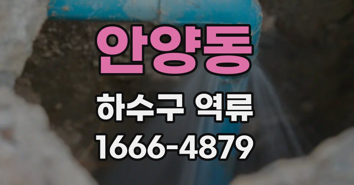 안양동 하수구 역류