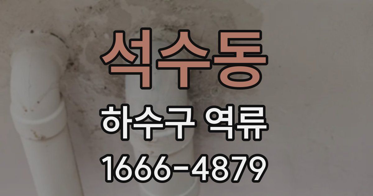 석수동 하수구 역류