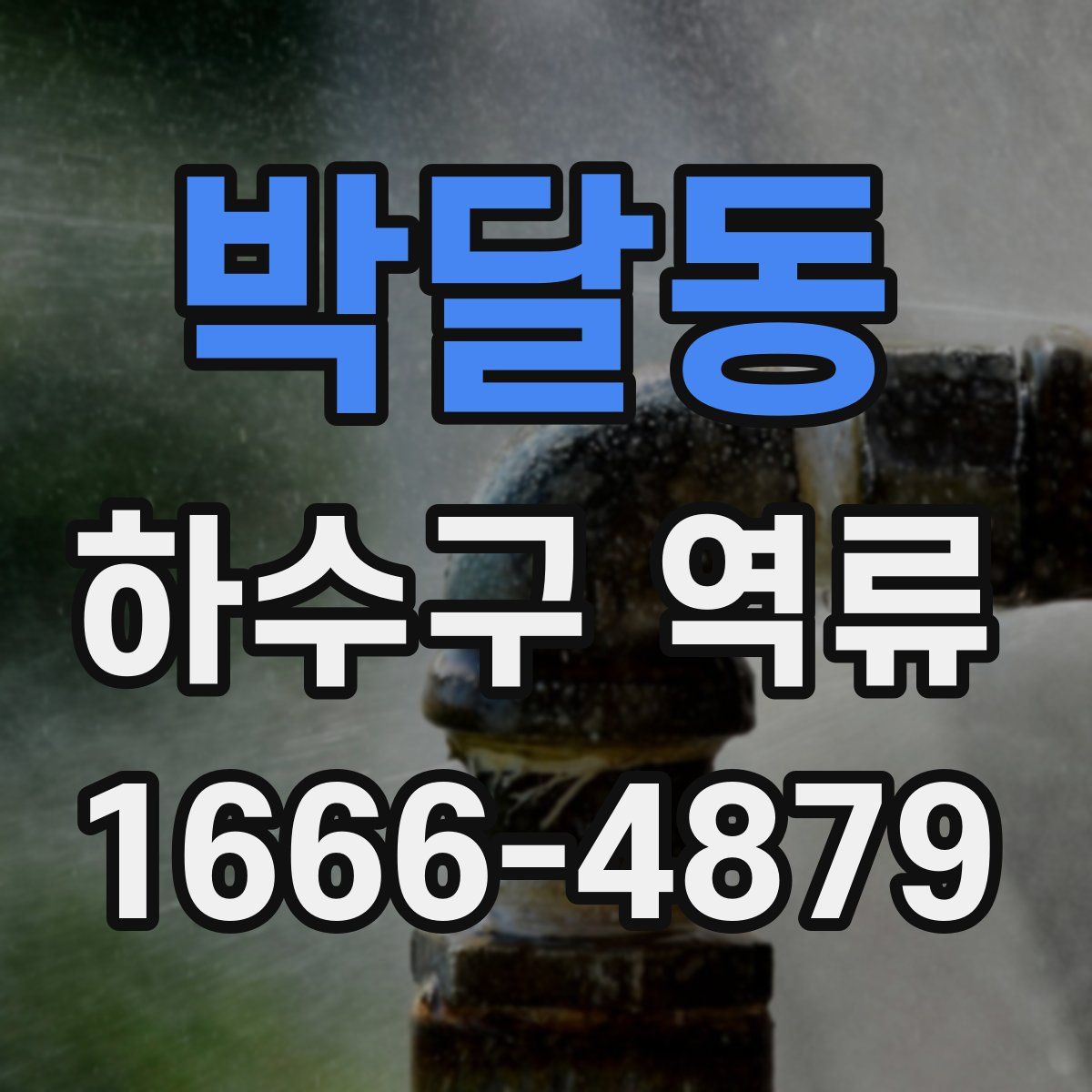 박달동 하수구 역류