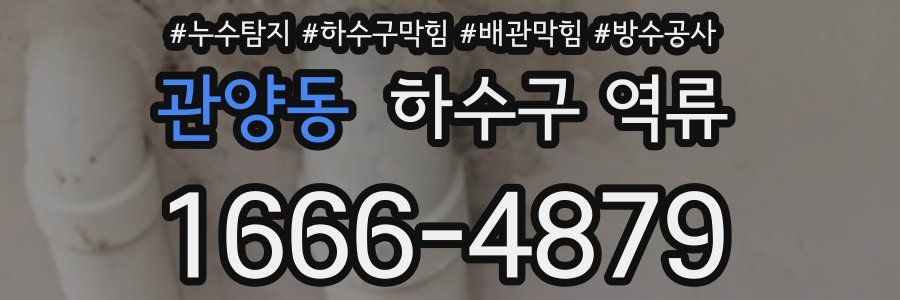 관양동 하수구 역류