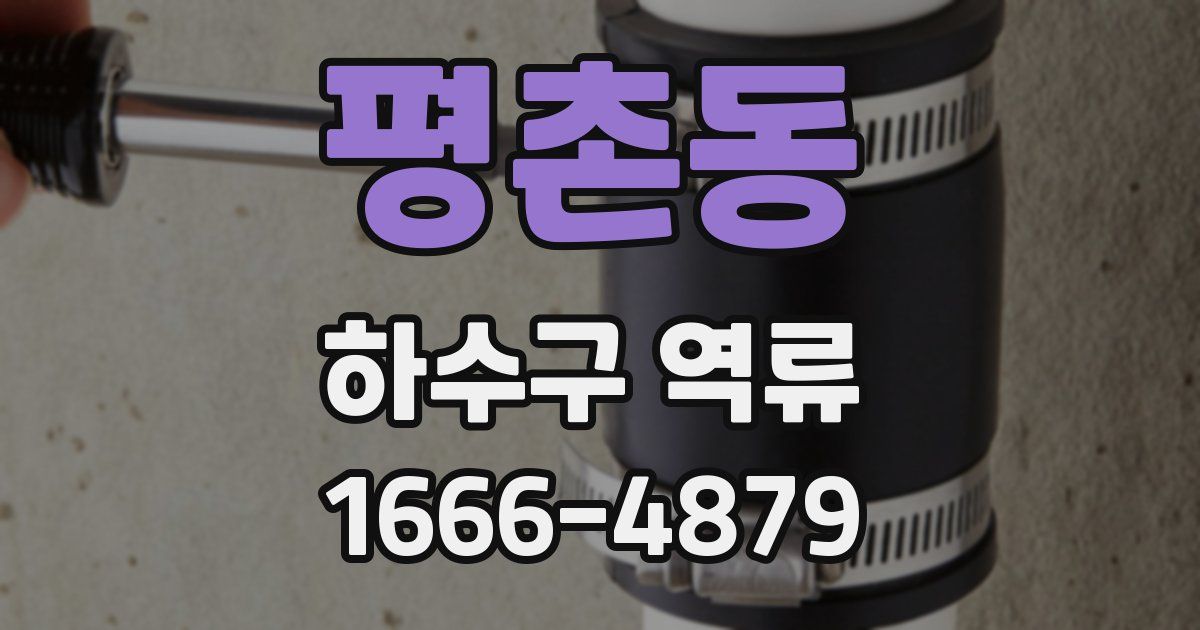 평촌동 하수구 역류