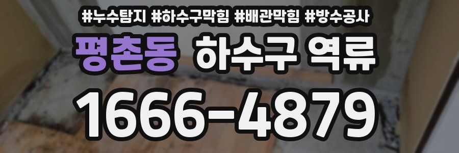 평촌동 하수구 역류