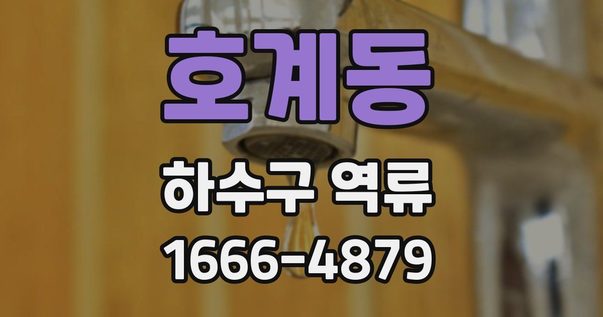 호계동 하수구 역류