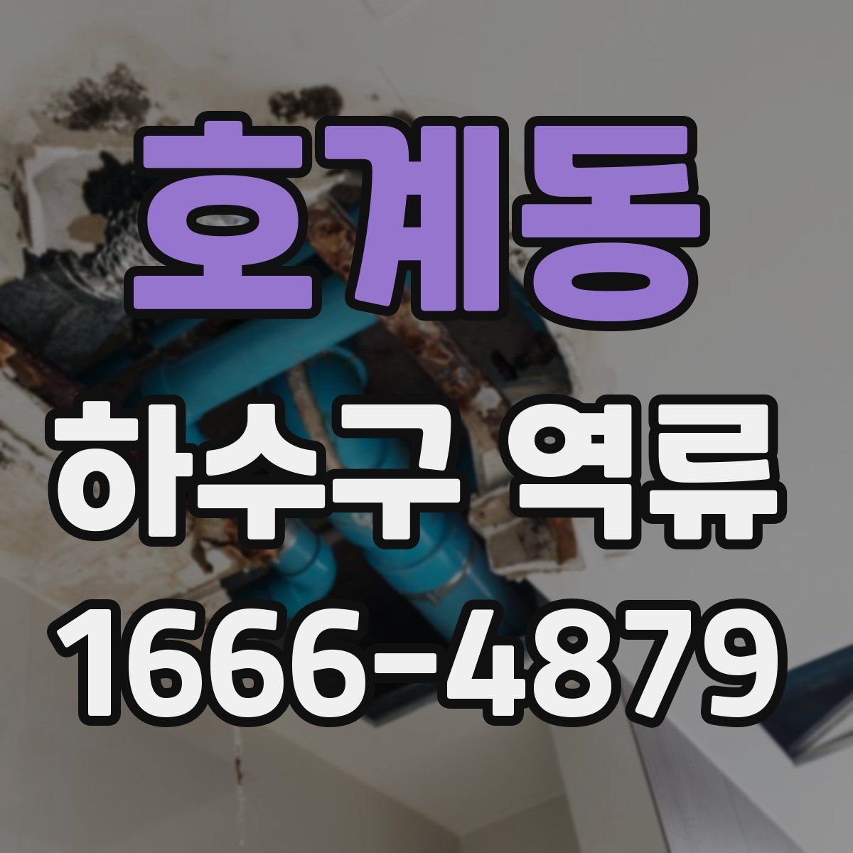 호계동 하수구 역류