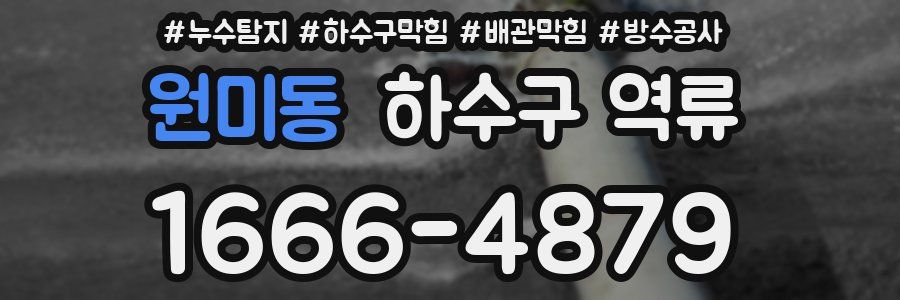 원미동 하수구 역류