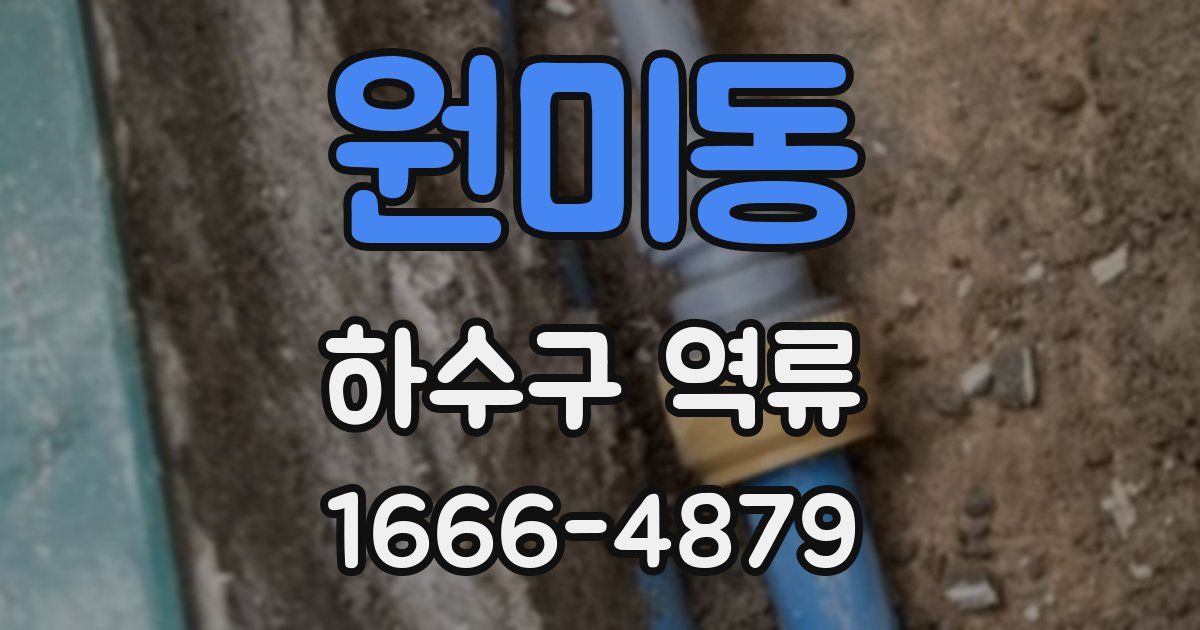 원미동 하수구 역류