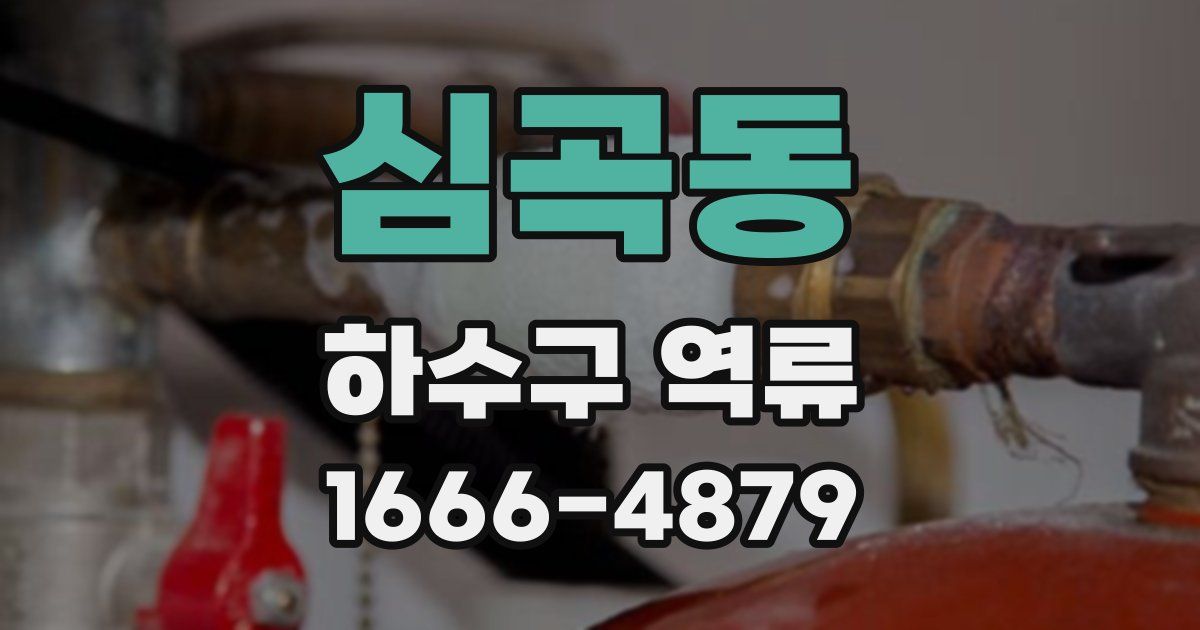 심곡동 하수구 역류