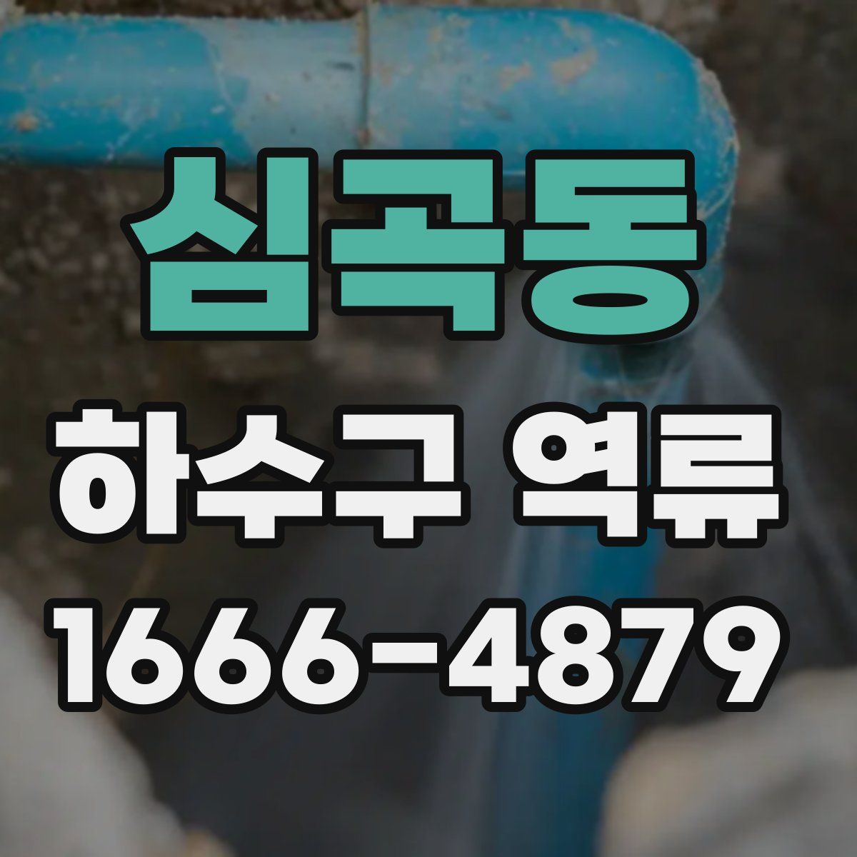 심곡동 하수구 역류