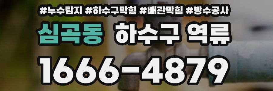 심곡동 하수구 역류