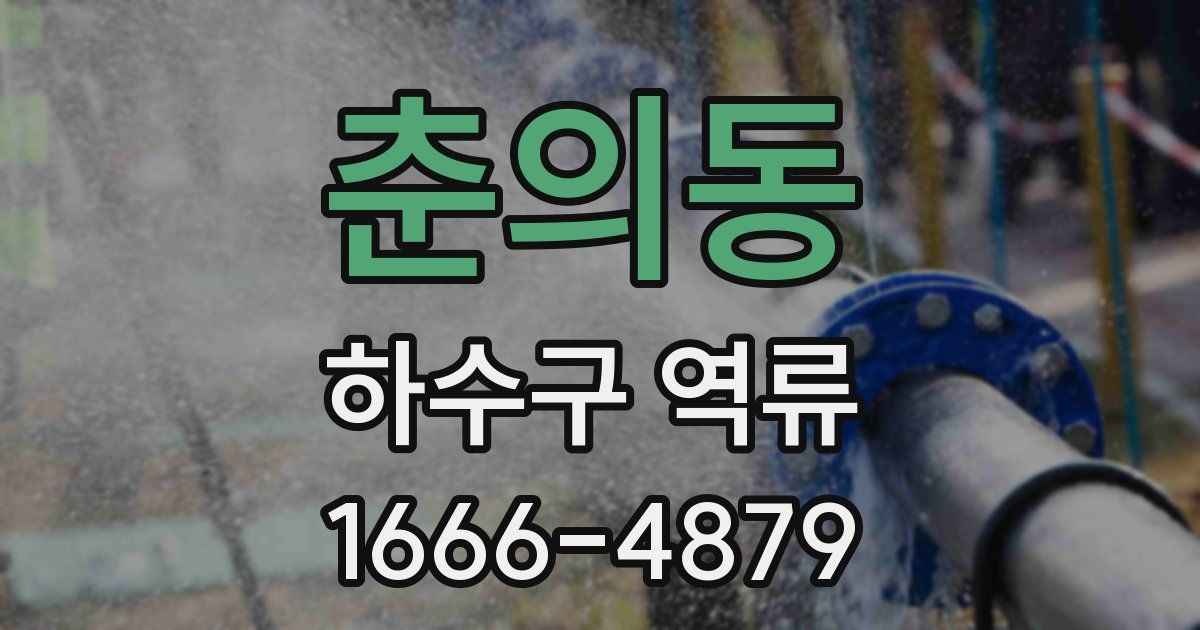춘의동 하수구 역류