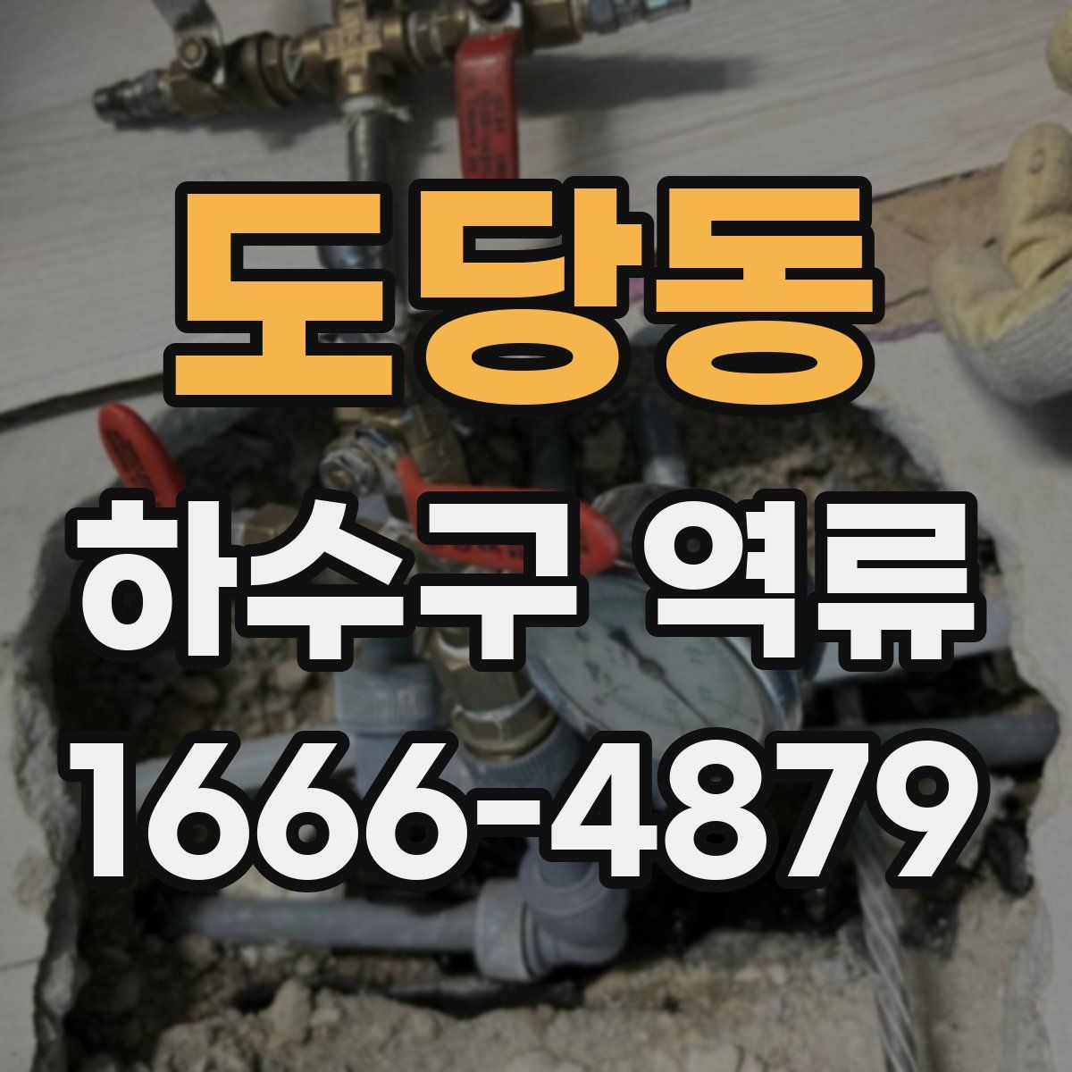 도당동 하수구 역류