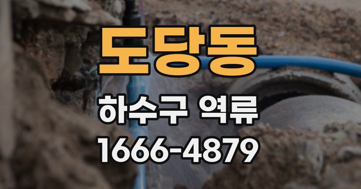 도당동 하수구 역류