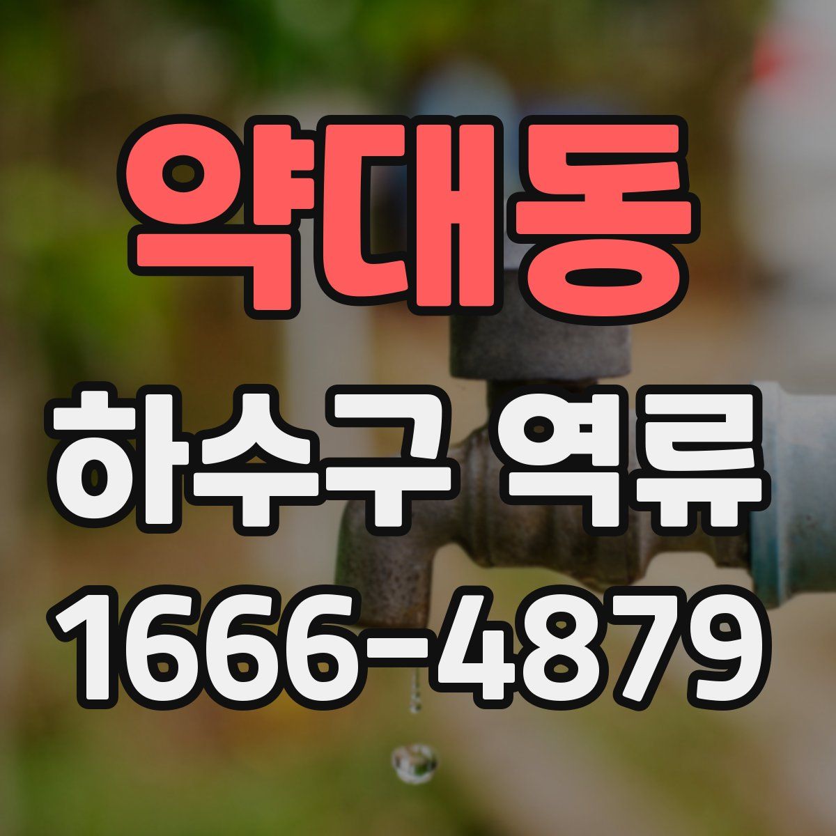 약대동 하수구 역류