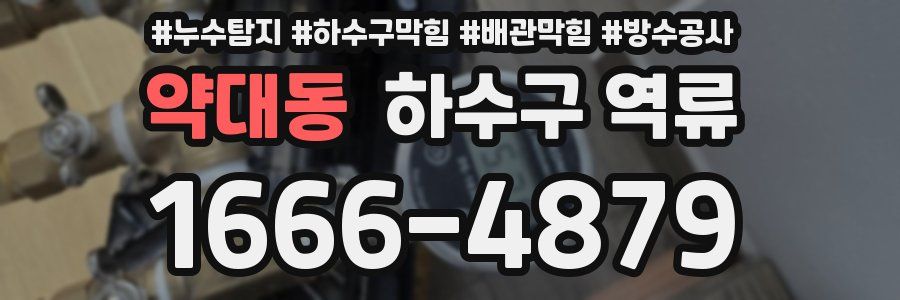 약대동 하수구 역류